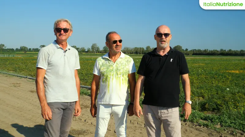 Le riprese nei campi di carote con Mazzoni Group